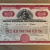 Mr_Whitefish_COA Example