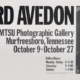 Warhol MTSU Gallery Poster