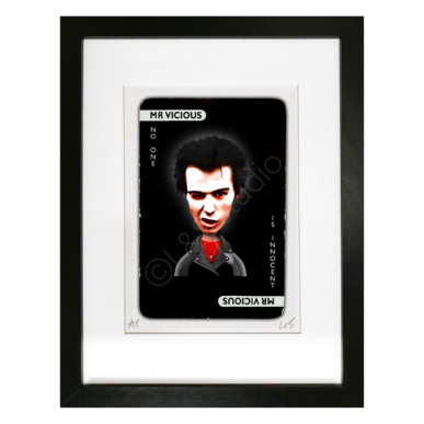 Mr Vicious framed