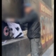 Faked a Banksy - Conzo & Globel 7