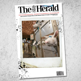 Herald 280823b