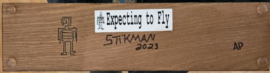 stikman - Expecting To Flya