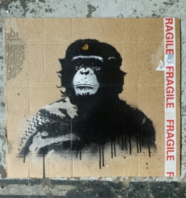 Baransky - B Guevara Edition 5