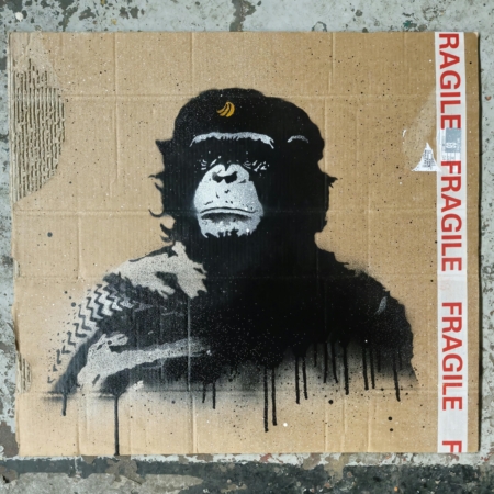 Baransky - B Guevara Edition 5