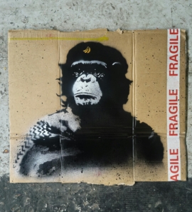 Baransky - B Guevara Edition 6