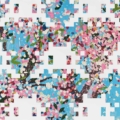 Invader_Hirst_Blossoma