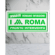 Invader - Roma Green