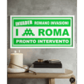 Invader - Roma Greena (1)