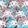 Invader_Hirst_Blossomc