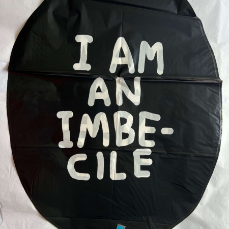 David Shrigley - Imbecilea