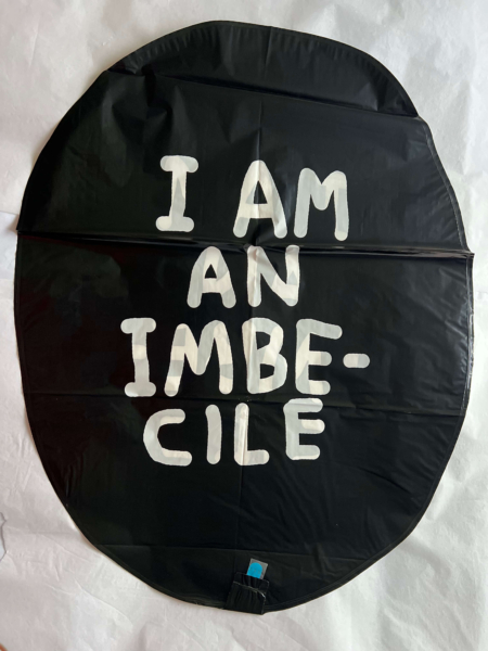 David Shrigley - Imbecilea