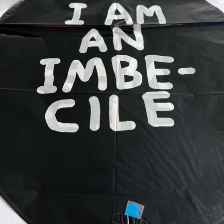 David Shrigley - Imbecile